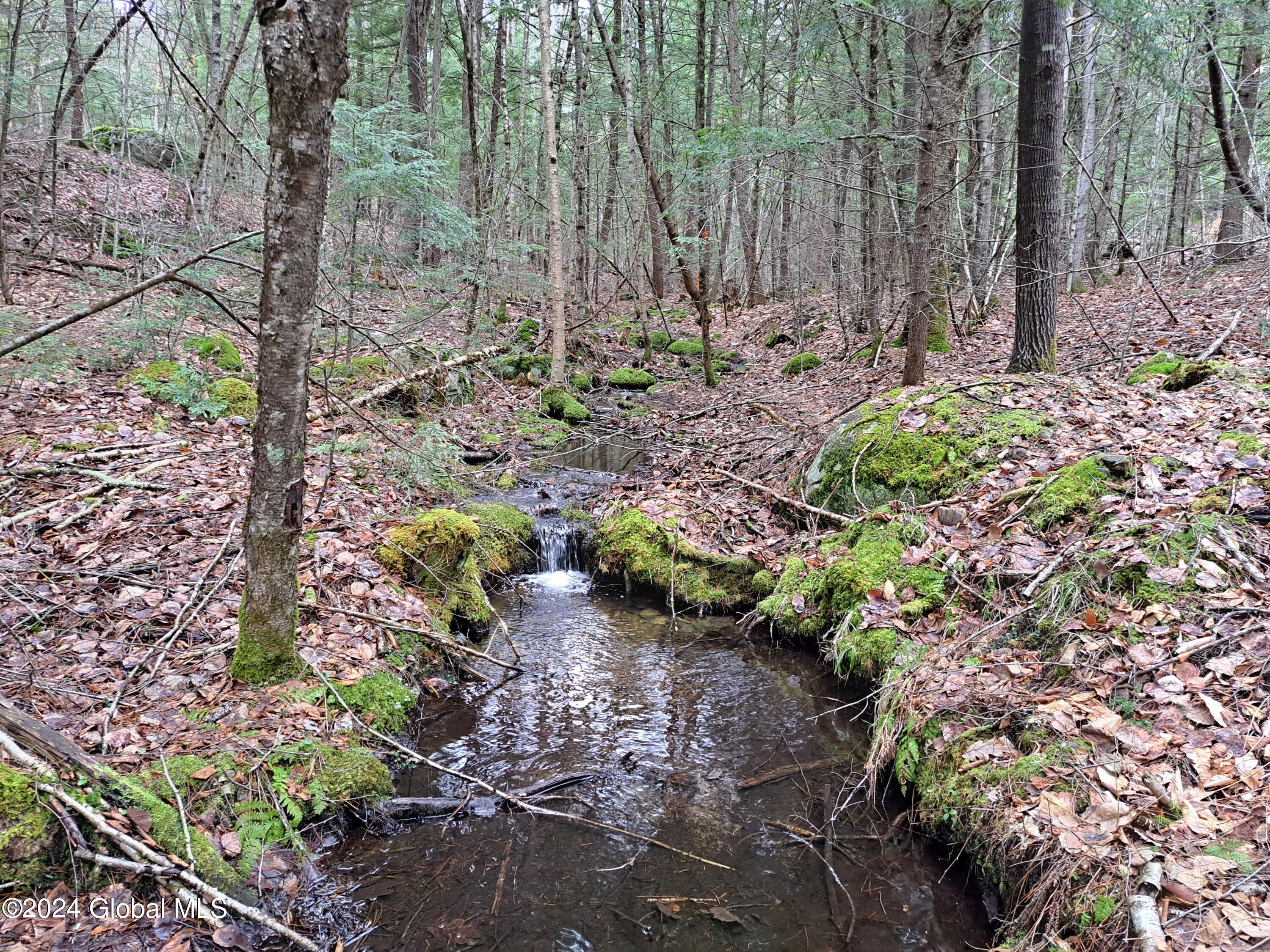 L21.1 Golf Course Road Warrensburg, NY 12885 - Photo 7 of 49 07 Stream
