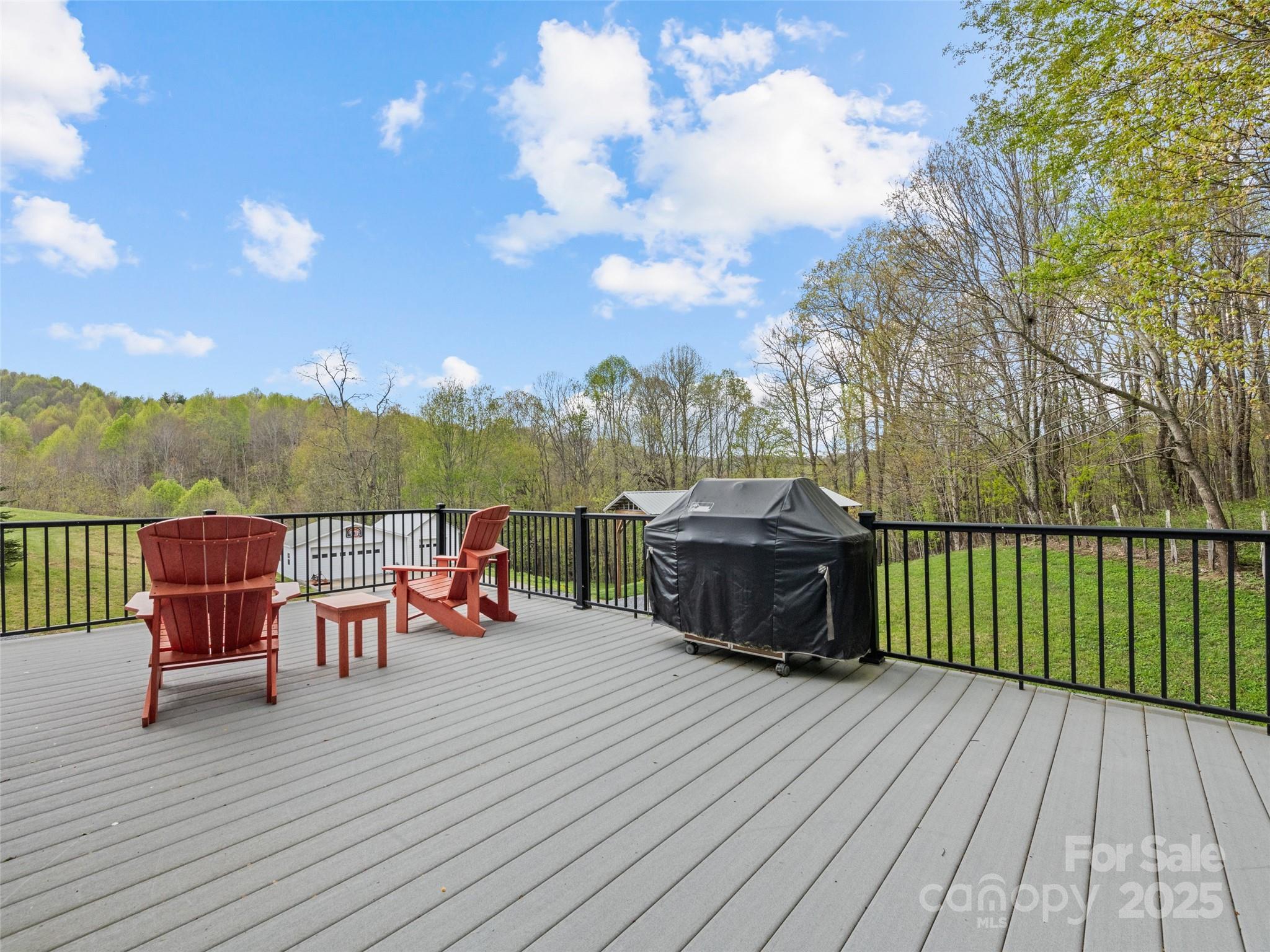 6780 Max Patch Road Clyde, NC 28721 - Photo 26 of 32 a view of a terrace with furniture