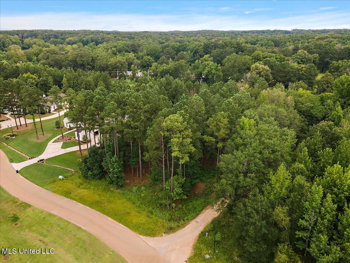 112 Hidden Glades Ridgeland, MS 39157 - Photo 2 of 5 2-DJI_0406