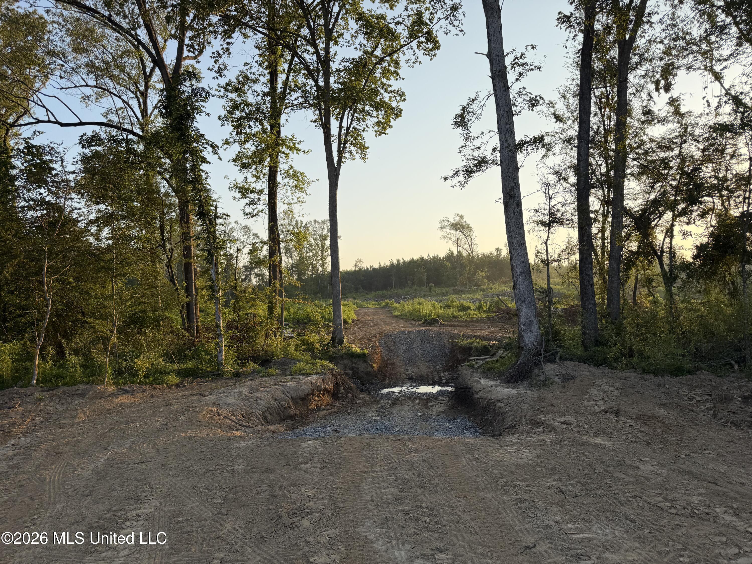 Carroll Rd Port Port Gibson, MS 39150 - Photo 8 of 24 Photo Jul 01 2026, 6 43 42 AM