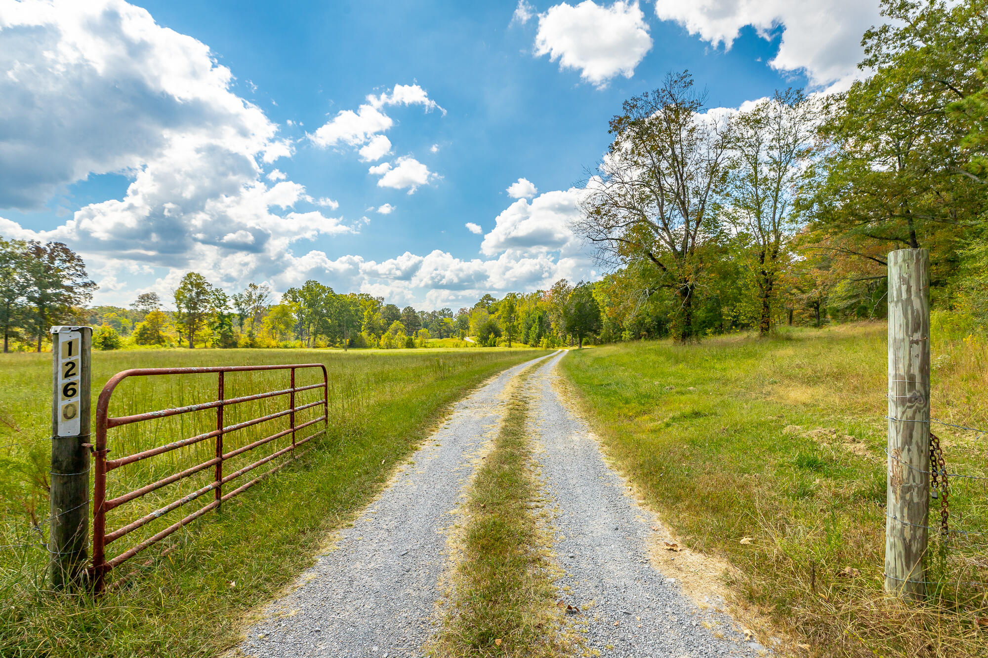 1260 Emerson Road Cohutta, GA 30710 - Photo 1 of 38 1260 Emerson Road HD-65