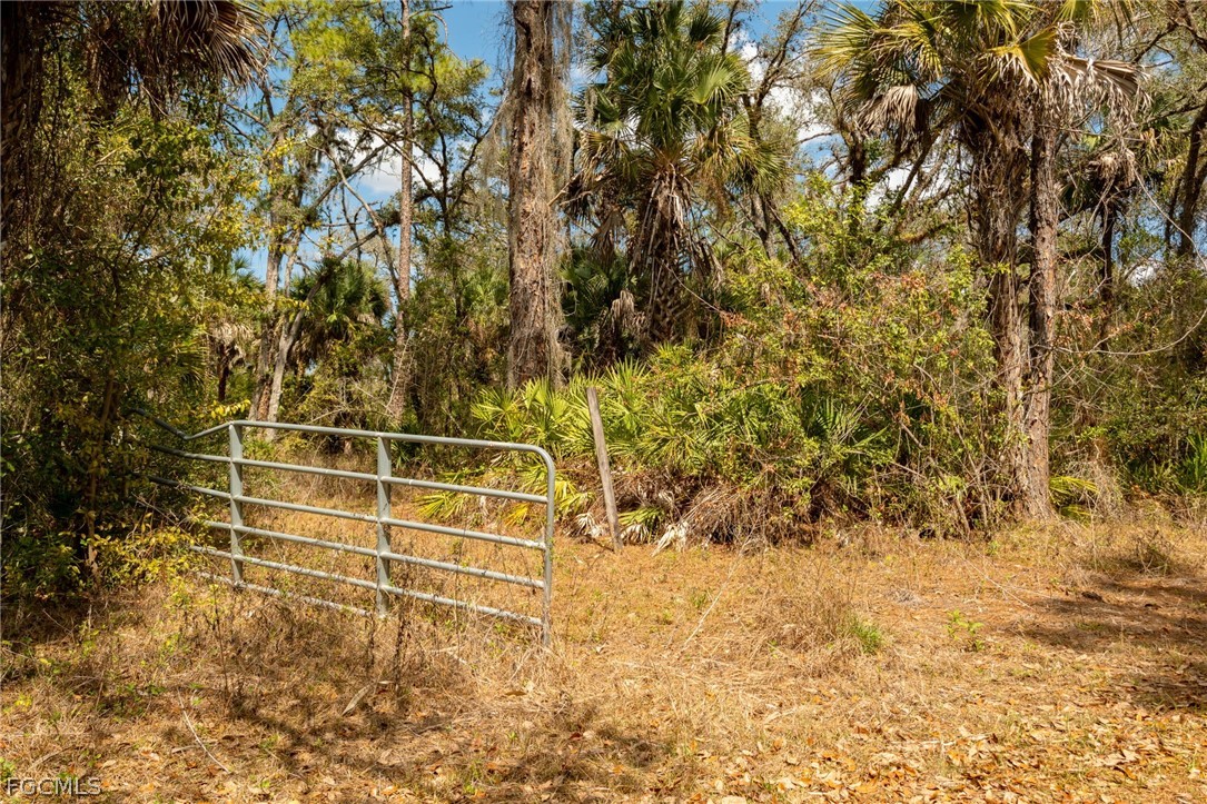 3751 Bateman Road Alva, FL 33920 - Photo 3 of 26 a view of a yard