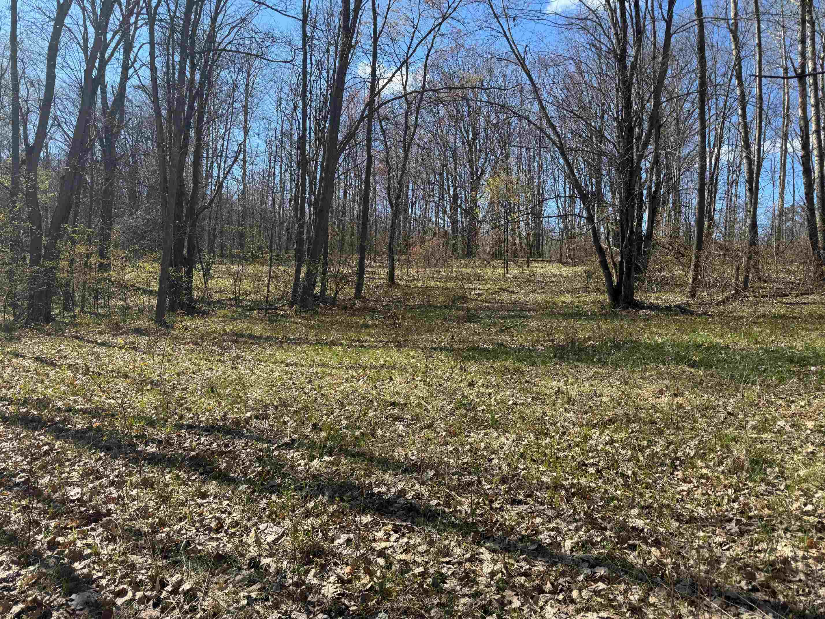10311 Alpine Drive Reed City, MI 49677 - Photo 15 of 20