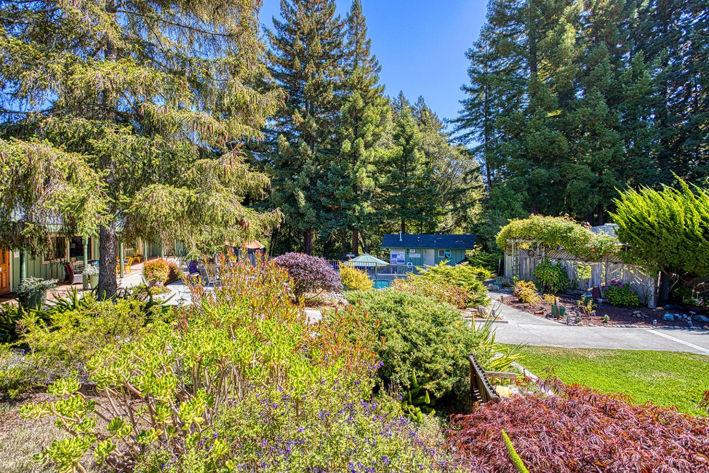 7 Oak Shadows Lane Aptos, CA 95003 - Photo 36 of 36 a view of a swimming pool with lawn chairs under an umbrella