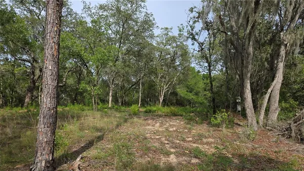 a view of outdoor space and green space