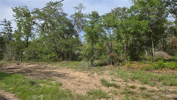 a view of outdoor space with trees