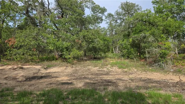 a view of a lake with lots of trees