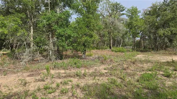 a view of outdoor space and trees