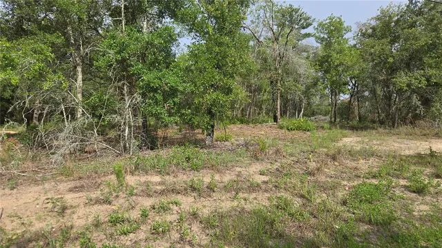 a view of outdoor space and trees