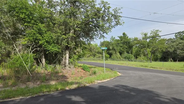a view of a field with trees in the background