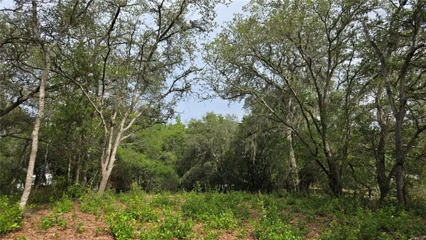a view of backyard with green space