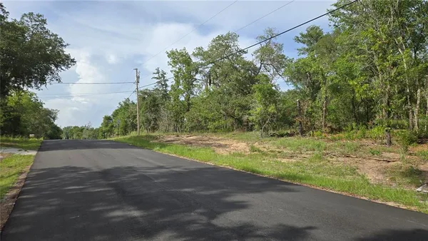 a view of a yard with large trees