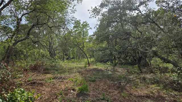 a big yard with lots of green space and deers