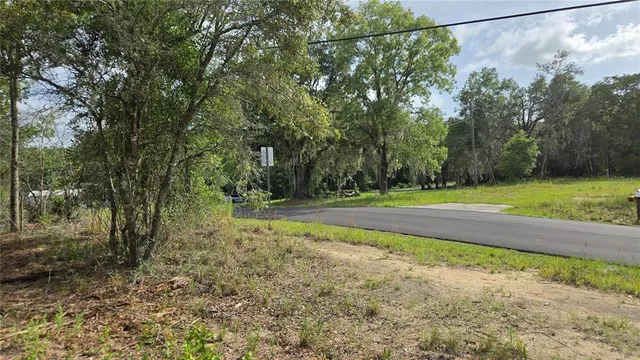a view of a backyard with large trees