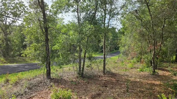a view of outdoor space and trees