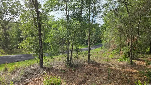 a view of outdoor space and trees