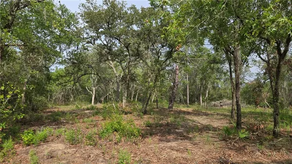 a view of outdoor space with trees all around