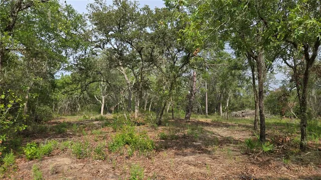 a view of outdoor space with trees all around