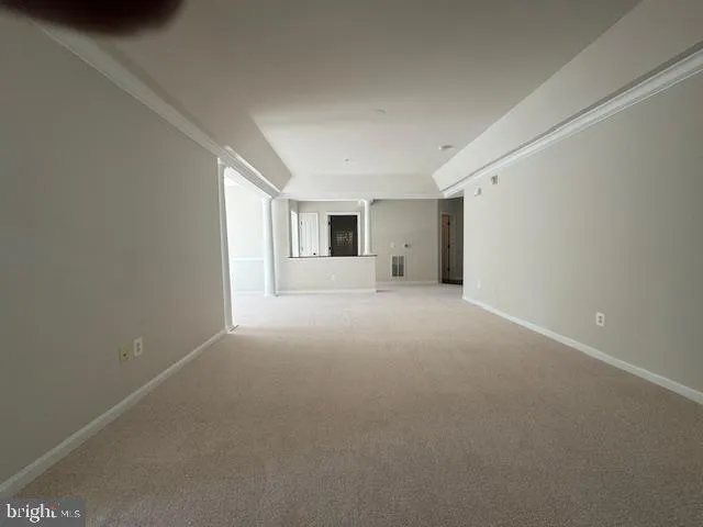 a view of a big room with closet and windows