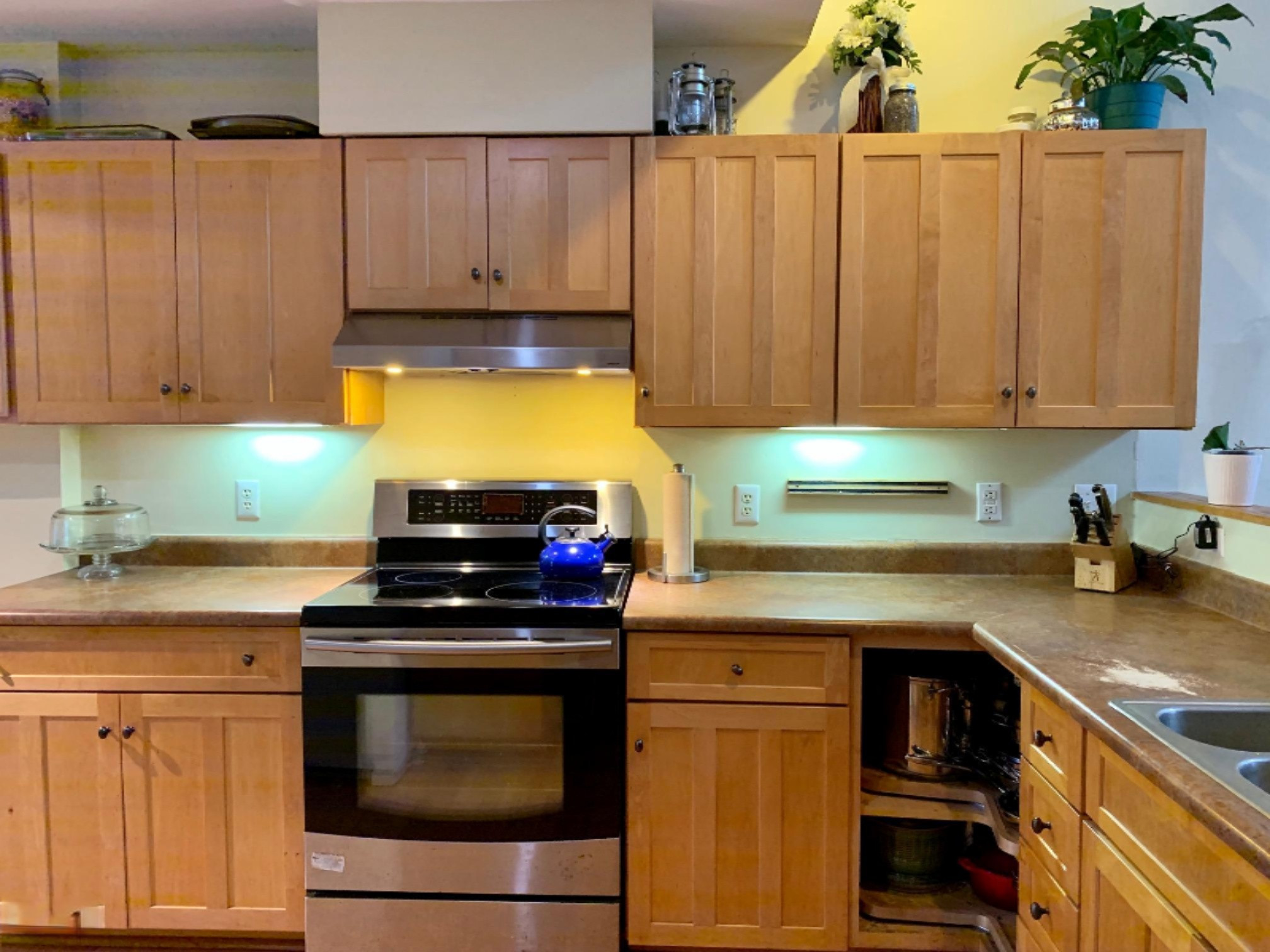 424 Little Lake Drive, Unit 36 Ann Arbor, MI 48103 - Photo 9 of 20 Kitchen 3