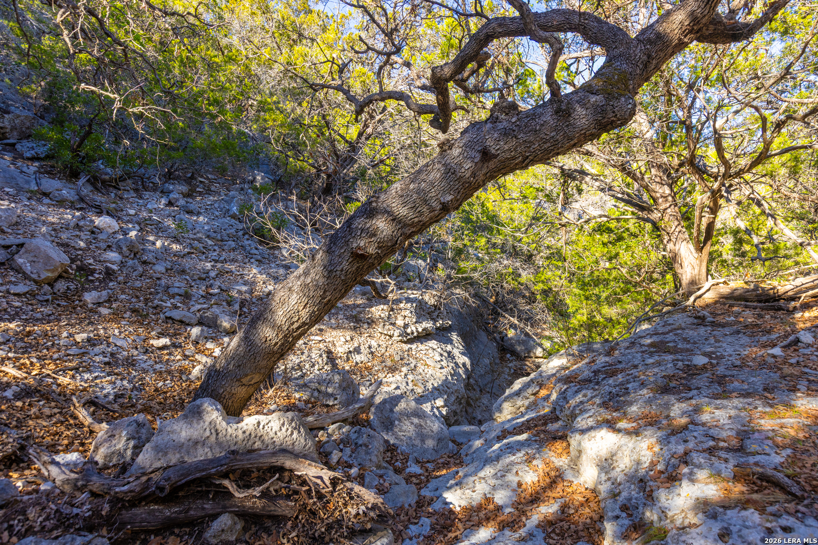 1030 Owl Hollow Road Leakey, TX 78873 - Photo 25 of 50