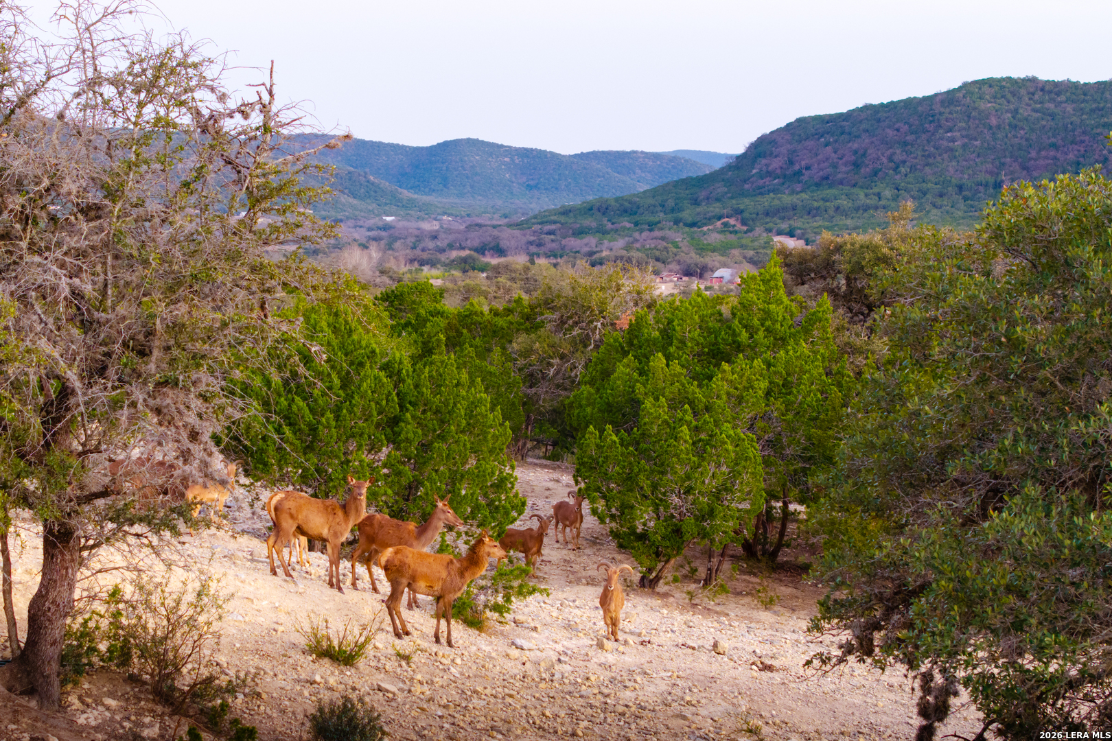 1030 Owl Hollow Road Leakey, TX 78873 - Photo 48 of 50