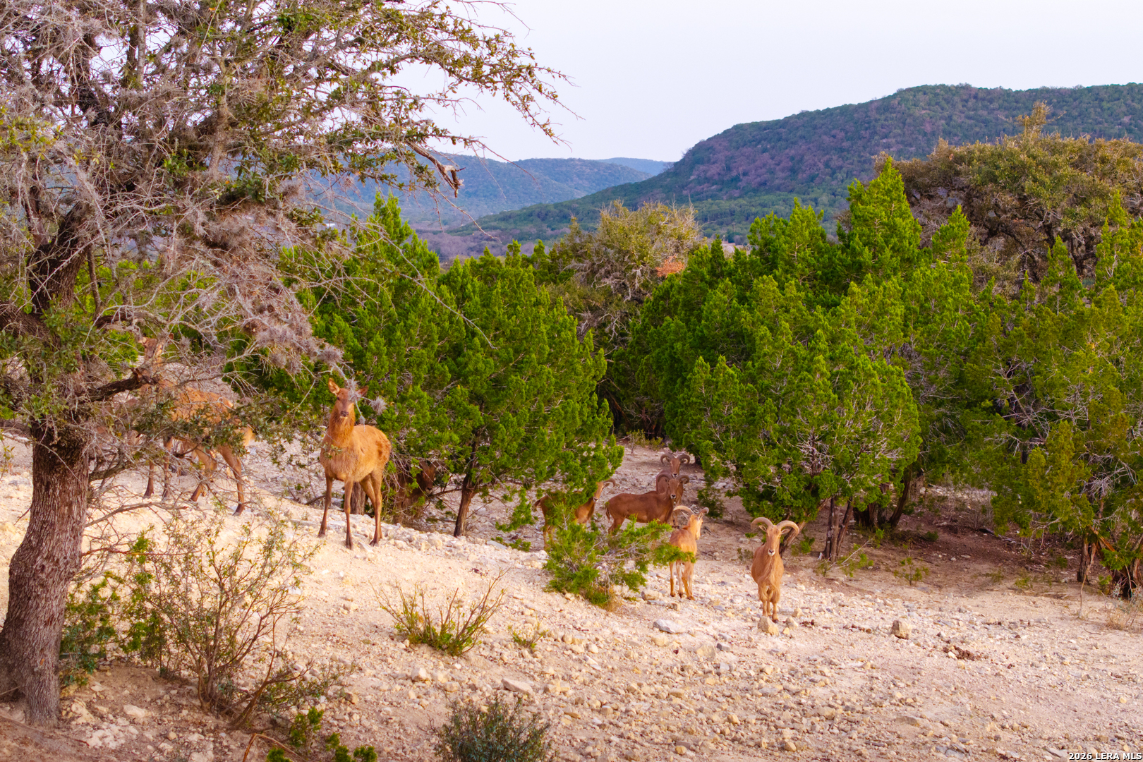 1030 Owl Hollow Road Leakey, TX 78873 - Photo 49 of 50