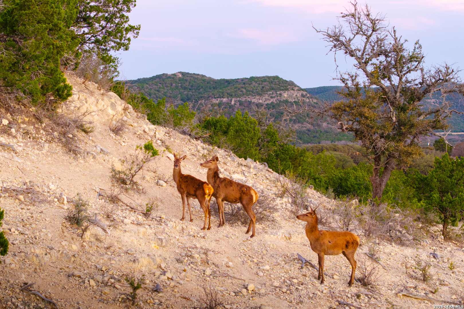 1030 Owl Hollow Road Leakey, TX 78873 - Photo 50 of 50