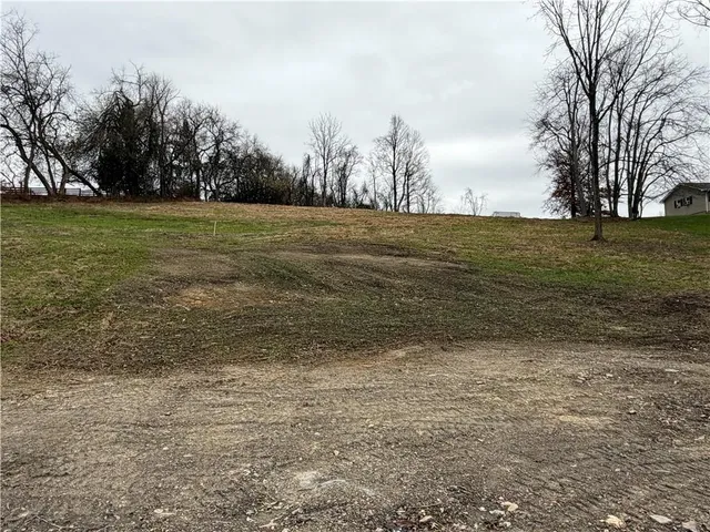 a view of a field with trees in the background