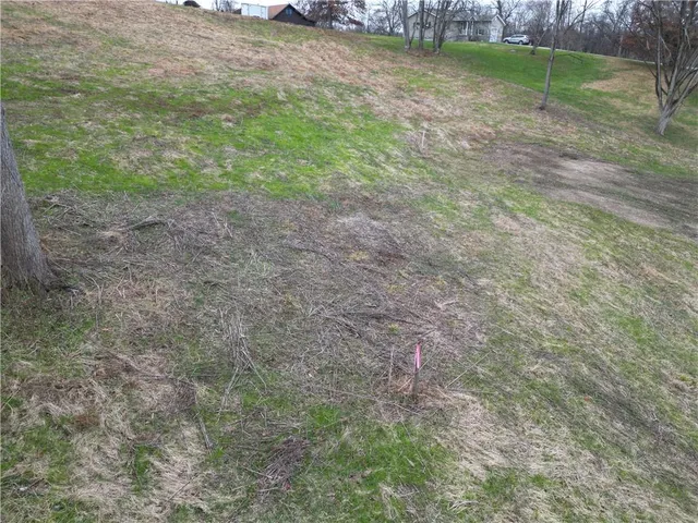 a view of a yard with a tree