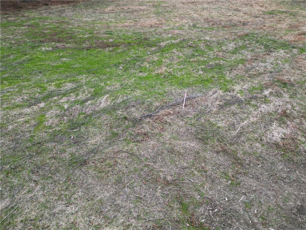 3541 Route 40 Washington, PA 15301 - Photo 15 of 19 a view of a yard with a tree
