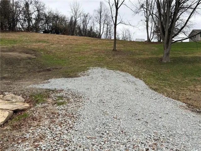 a view of a yard with a tree