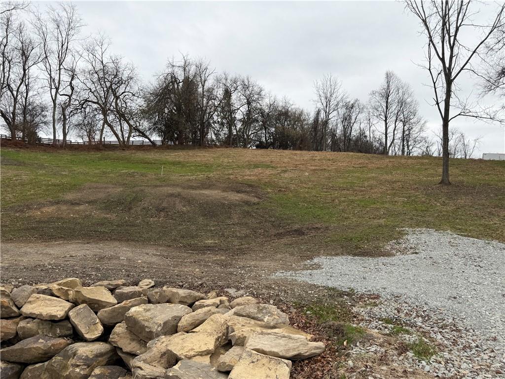 3541 Route 40 Washington, PA 15301 - Photo 8 of 19 a view of a yard with a trees