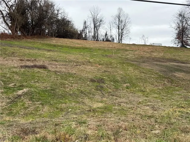 a view of a field with an trees