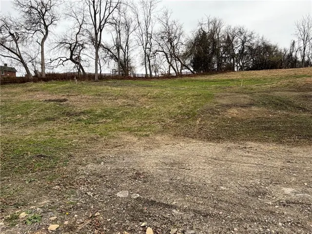 a view of a field with trees