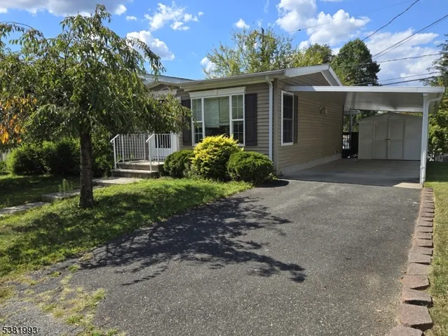a view of a park with large trees
