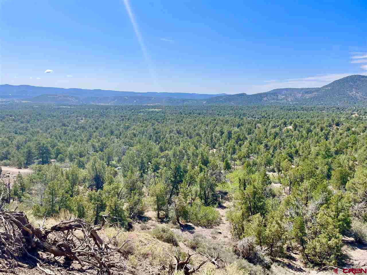 1790 Green Shadows Road Durango, CO 81303 - Photo 14 of 35 Gallery Image 14