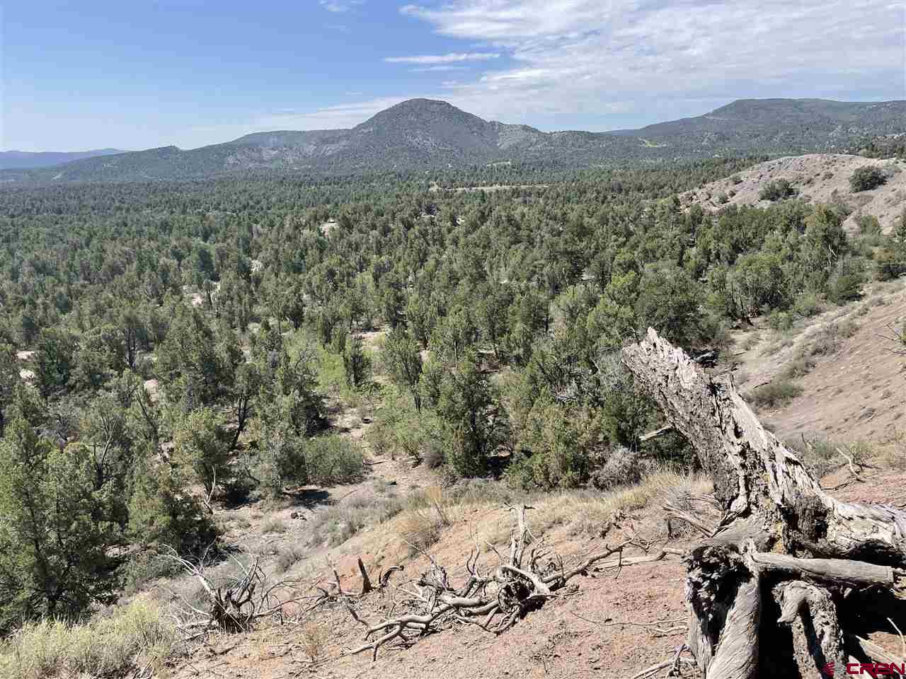 1790 Green Shadows Road Durango, CO 81303 - Photo 22 of 35 Gallery Image 22