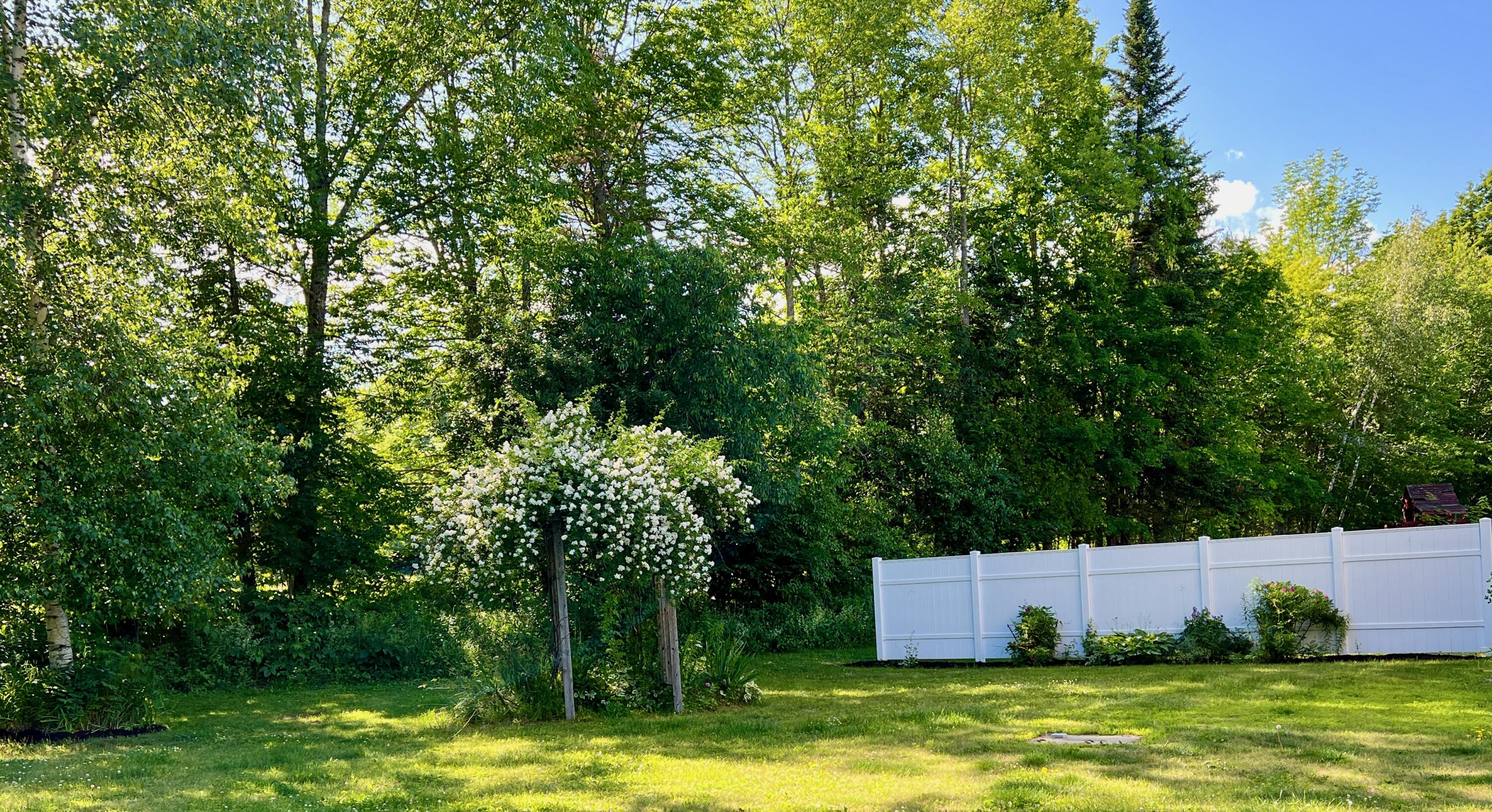 474 Hudson Road Corinth, ME 04427 - Photo 69 of 74 Beautiful Roses