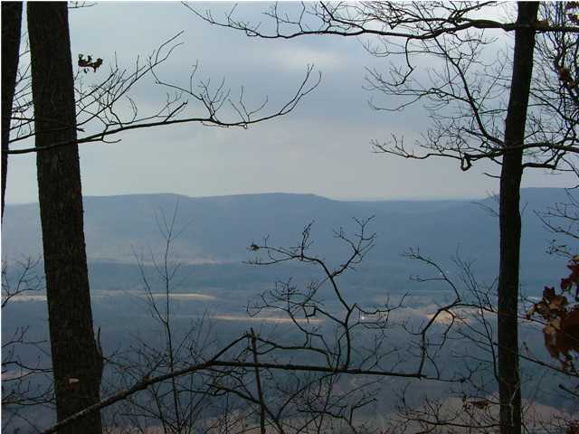 3 Old State Road Cloudland, GA 30731 - Photo 4 of 5 Additional Photo