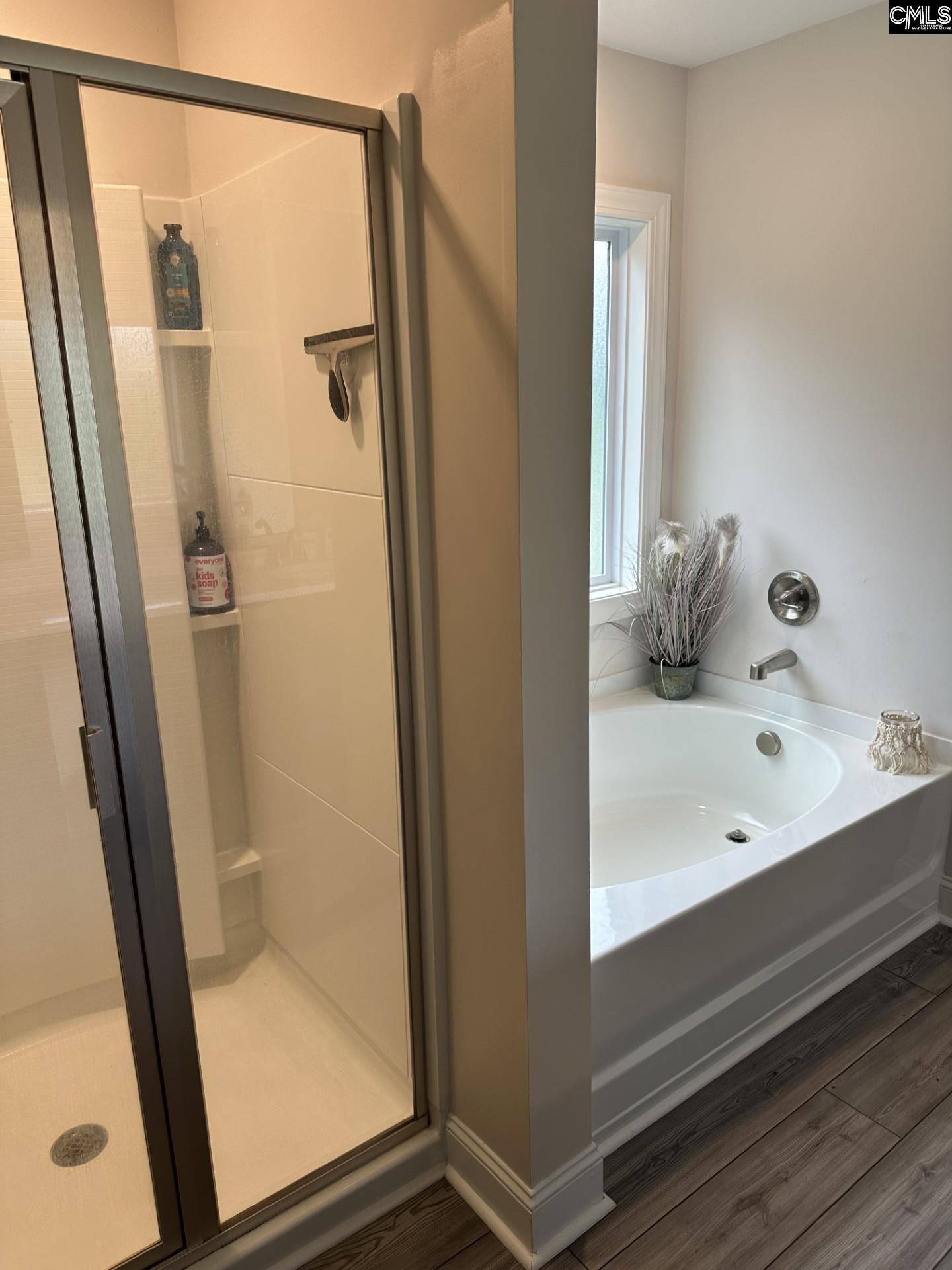 524 Triumph Road Chapin, SC 29036 - Photo 30 of 50