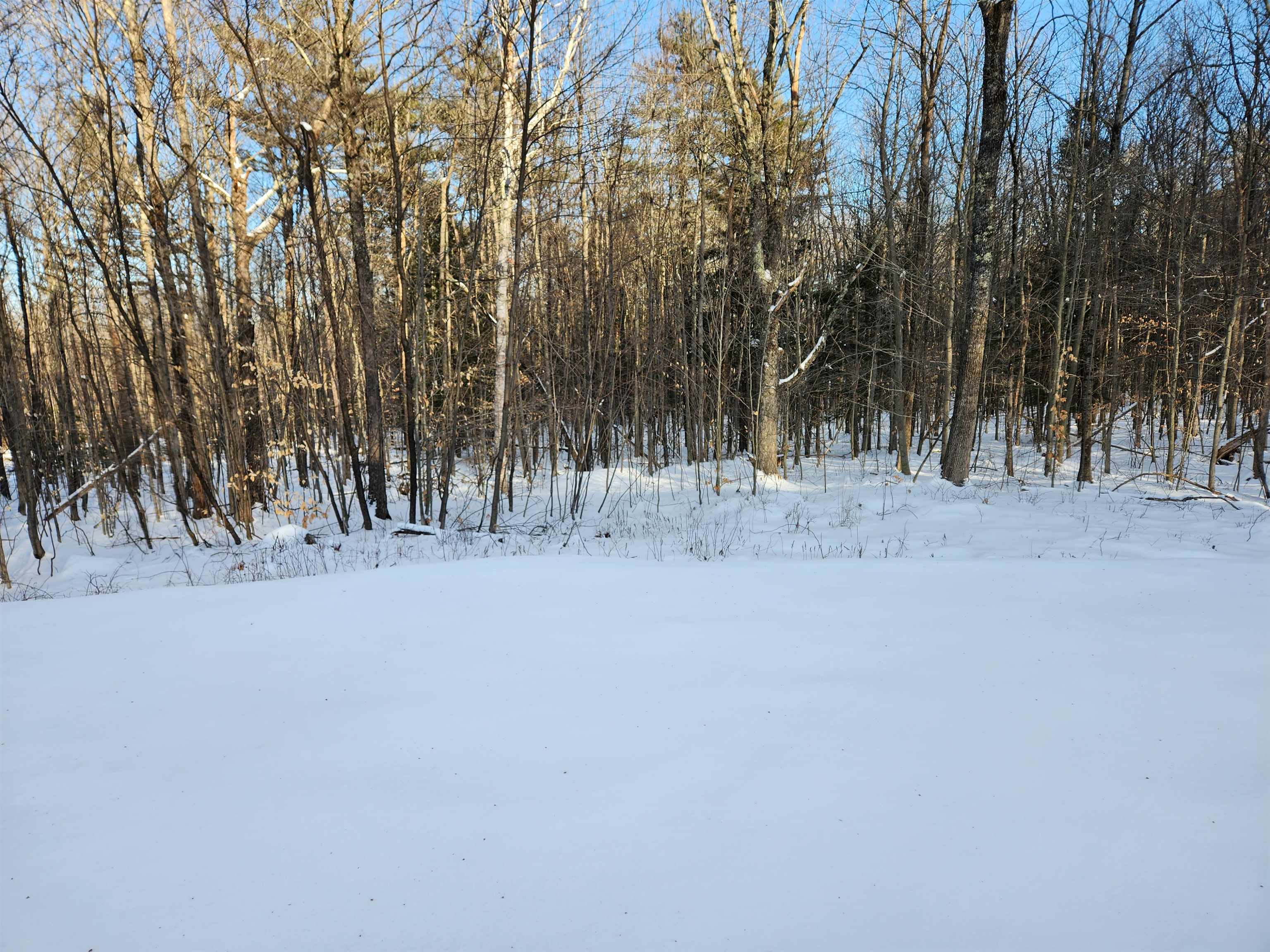 80 Quaker Road New Durham, NH 03855 - Photo 4 of 37