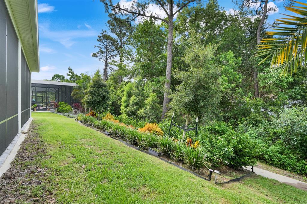 1990 Wallingford Loop Mount Mount Dora, FL 32757 - Photo 32 of 47