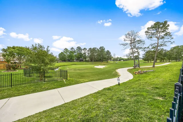 a view of a park with large trees