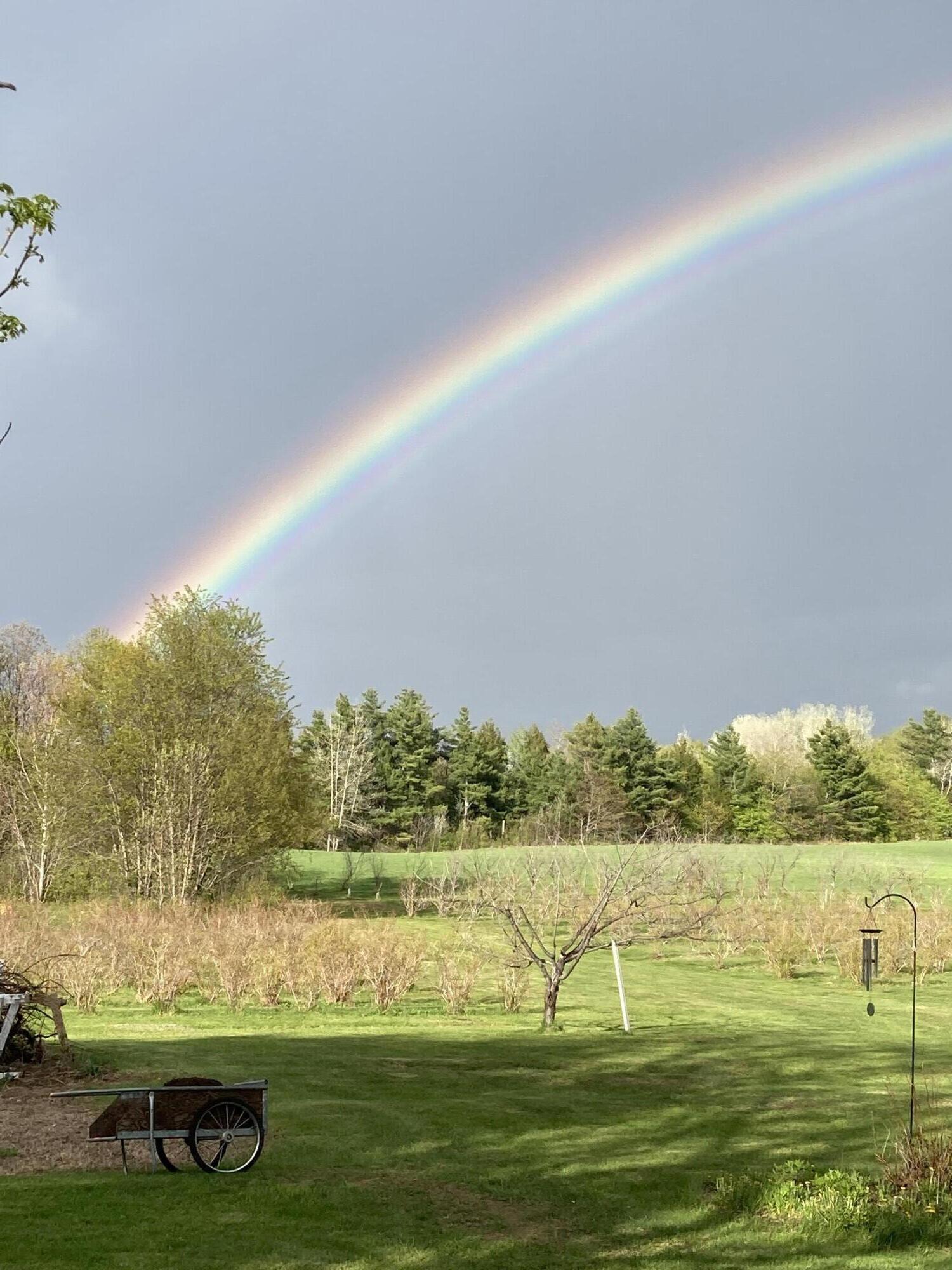 147 Old Military Road Winn, ME 04495 - Photo 74 of 93 Rainbow