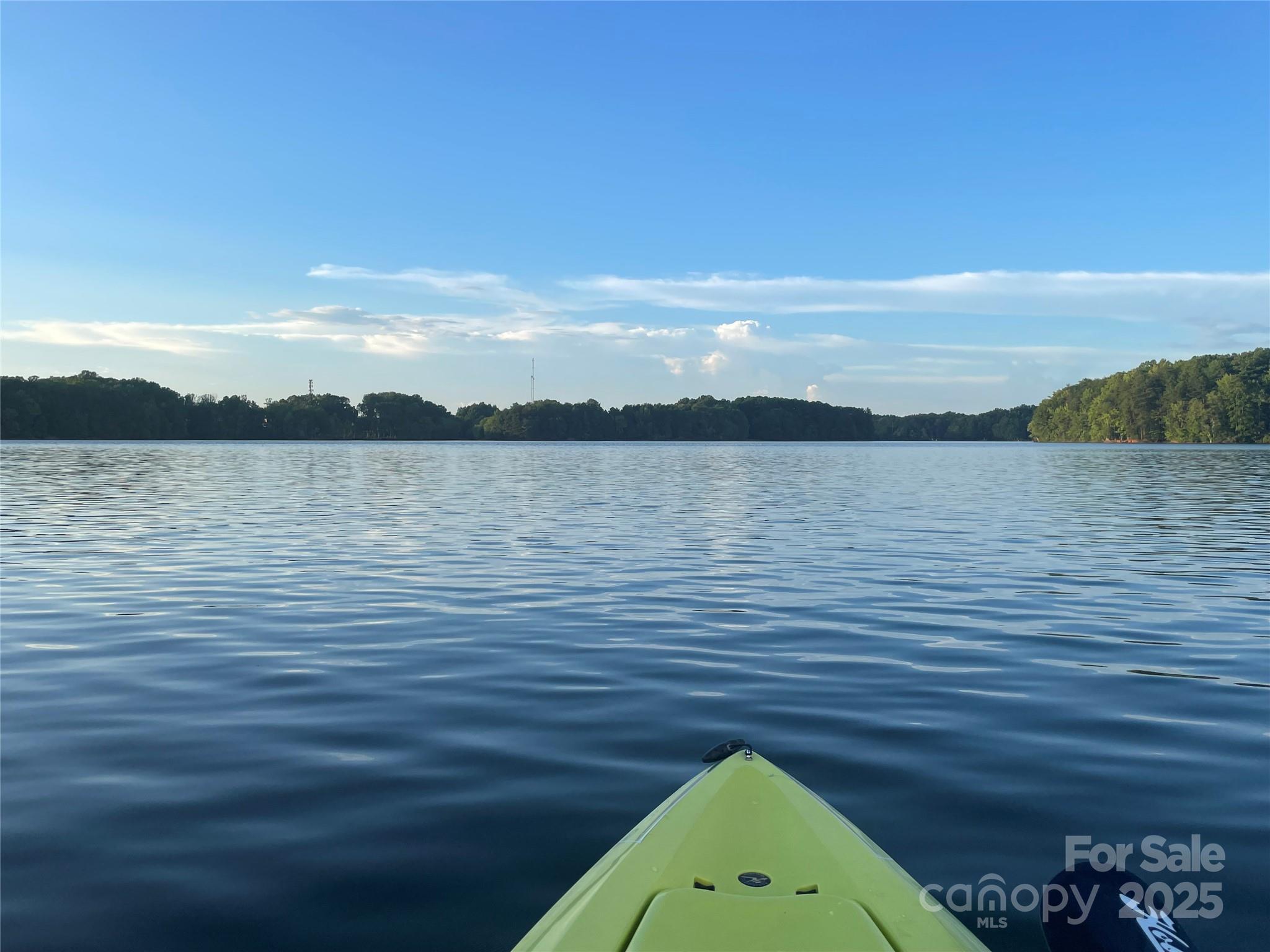 275 Bridges Farm Road Mooresville, NC 28115 - Photo 2 of 48 a view of lake