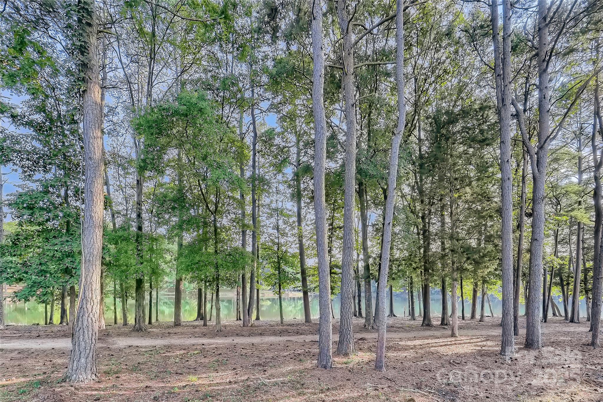 275 Bridges Farm Road Mooresville, NC 28115 - Photo 38 of 48 a view of a forest with trees