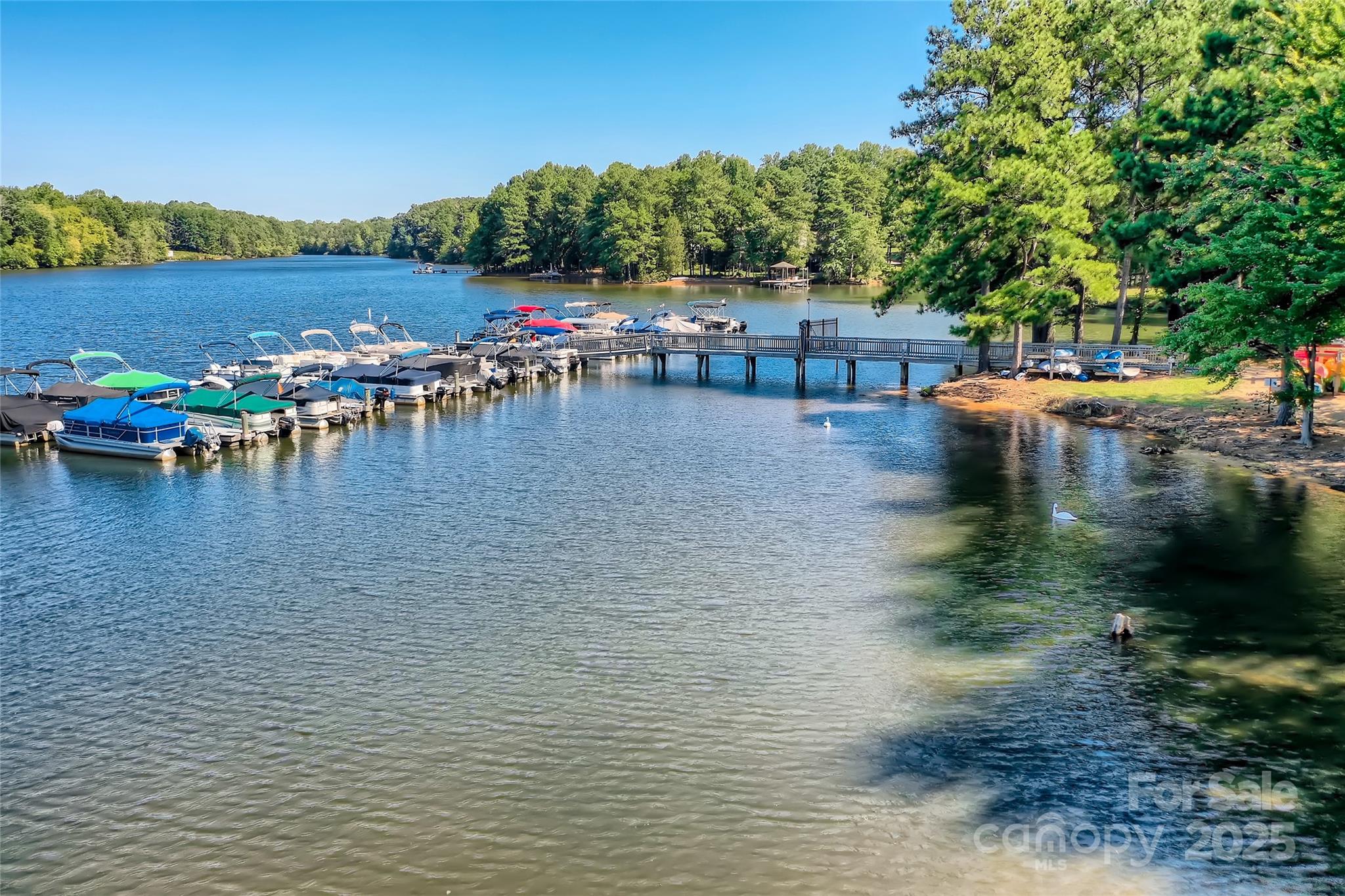 275 Bridges Farm Road Mooresville, NC 28115 - Photo 40 of 48 a view of a lake with houses with outdoor space