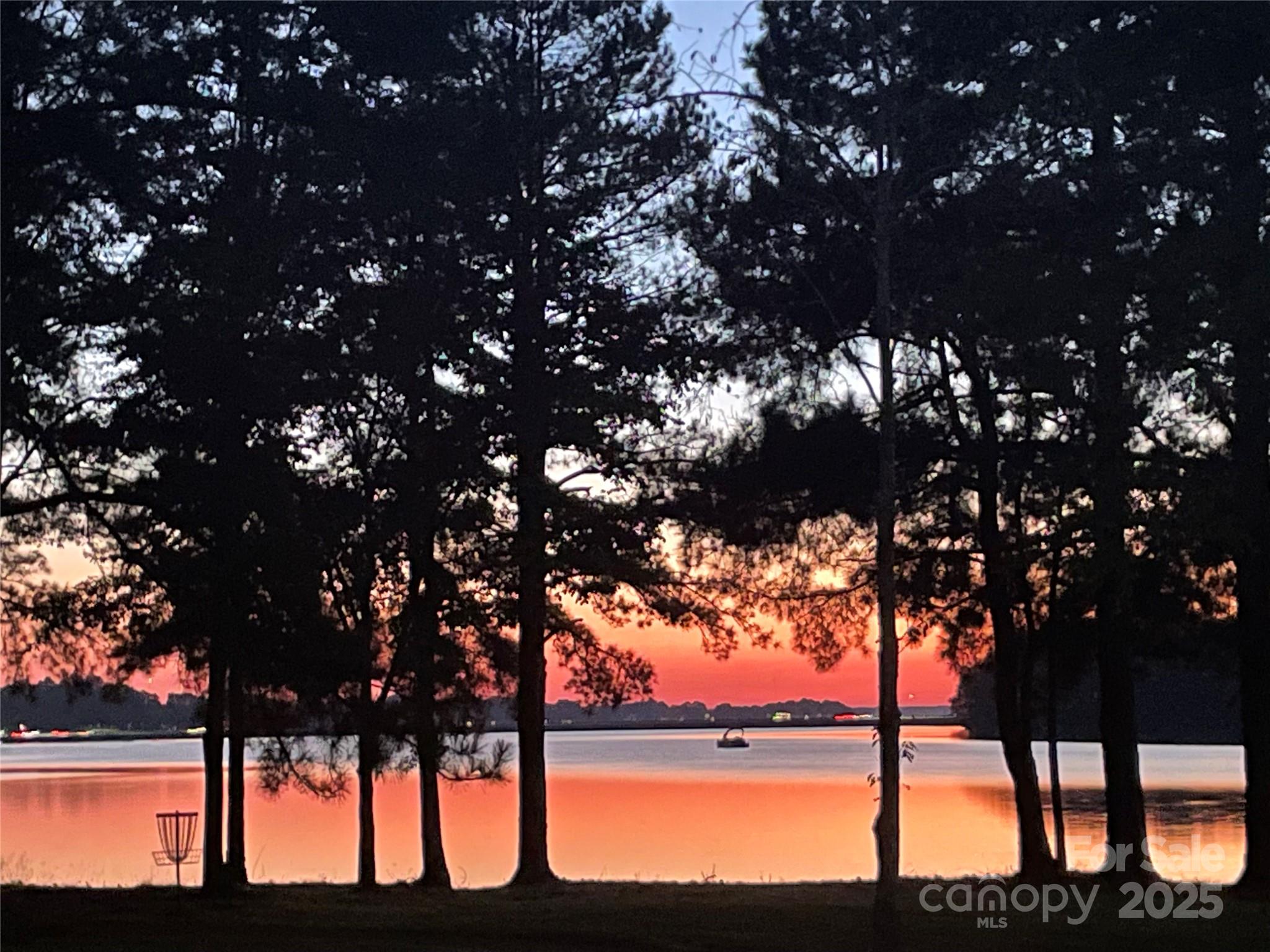 275 Bridges Farm Road Mooresville, NC 28115 - Photo 46 of 48 a view of large tree