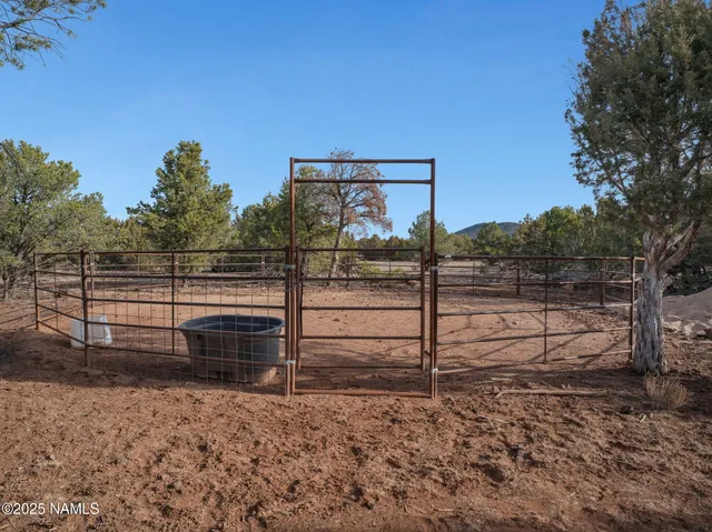 a view of a backyard with wooden fence